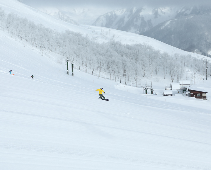 リステルスキーファンタジア リフト1日券 引換券　８枚　2024-2025 リステルスキーファンタジア リフト1日券 8枚 スキー場